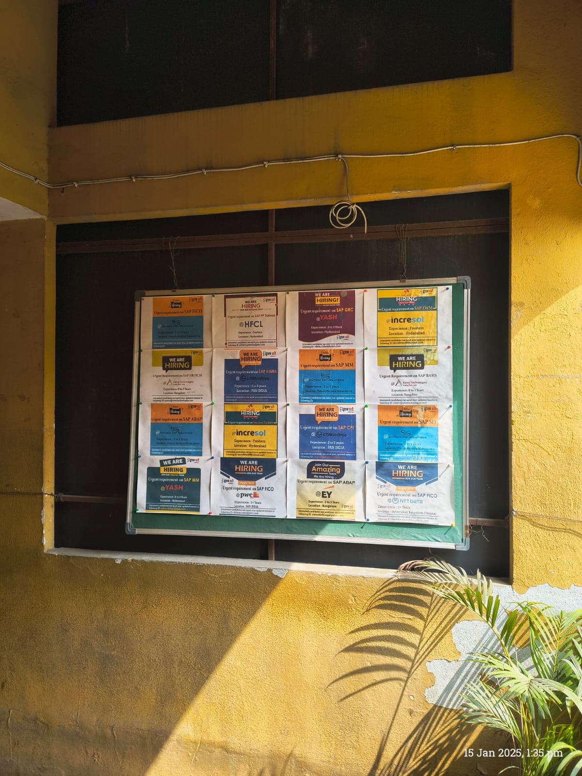 Igrow Soft Igrow Soft photo 6